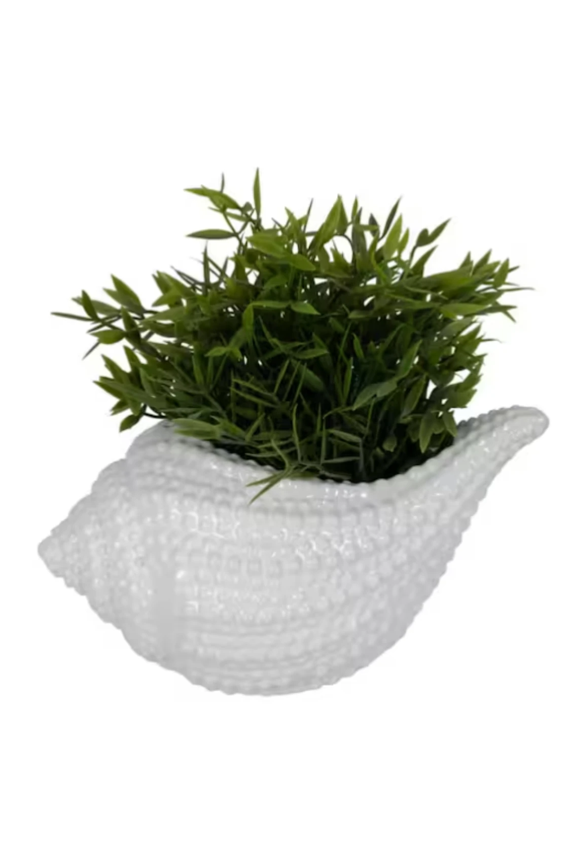 Maceta Caracola - Image 2